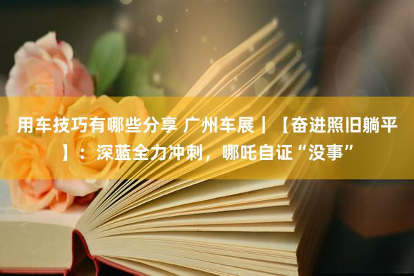 用车技巧有哪些分享 广州车展｜【奋进照旧躺平】：深蓝全力冲刺，哪吒自证“没事”