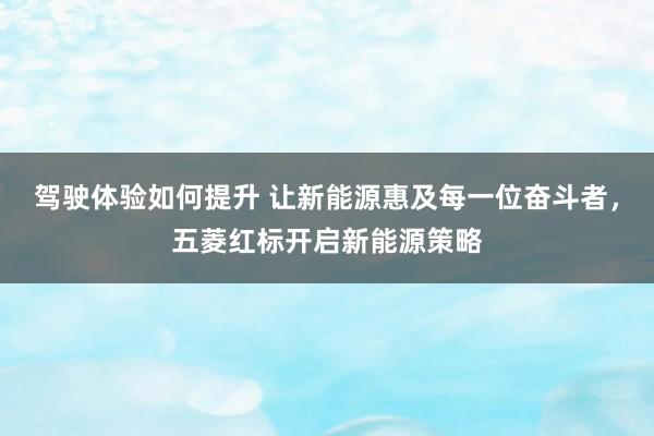 驾驶体验如何提升 让新能源惠及每一位奋斗者，五菱红标开启新能源策略