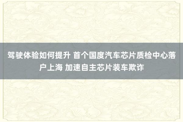 驾驶体验如何提升 首个国度汽车芯片质检中心落户上海 加速自主芯片装车欺诈