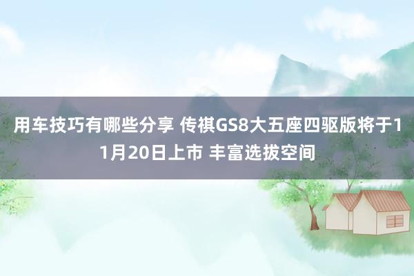 用车技巧有哪些分享 传祺GS8大五座四驱版将于11月20日上市 丰富选拔空间