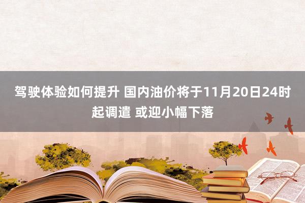 驾驶体验如何提升 国内油价将于11月20日24时起调遣 或迎小幅下落