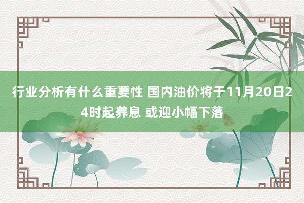 行业分析有什么重要性 国内油价将于11月20日24时起养息 或迎小幅下落