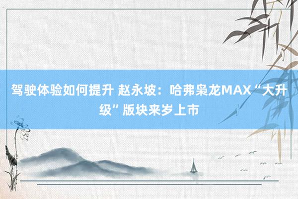 驾驶体验如何提升 赵永坡：哈弗枭龙MAX“大升级”版块来岁上市