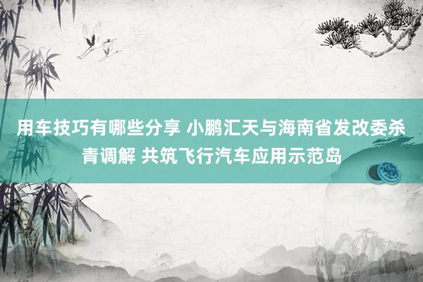 用车技巧有哪些分享 小鹏汇天与海南省发改委杀青调解 共筑飞行汽车应用示范岛