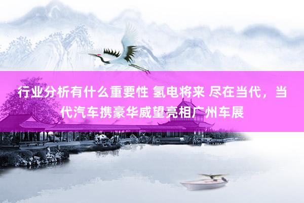 行业分析有什么重要性 氢电将来 尽在当代，当代汽车携豪华威望亮相广州车展