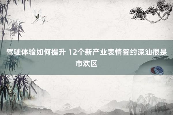 驾驶体验如何提升 12个新产业表情签约深汕很是市欢区